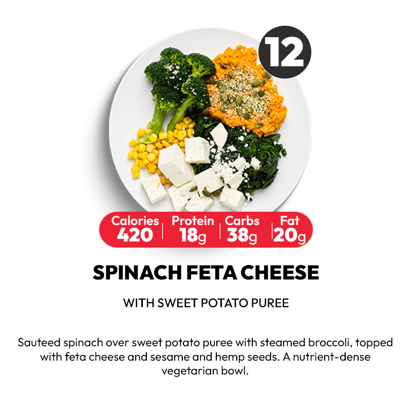 15 Meal Plan